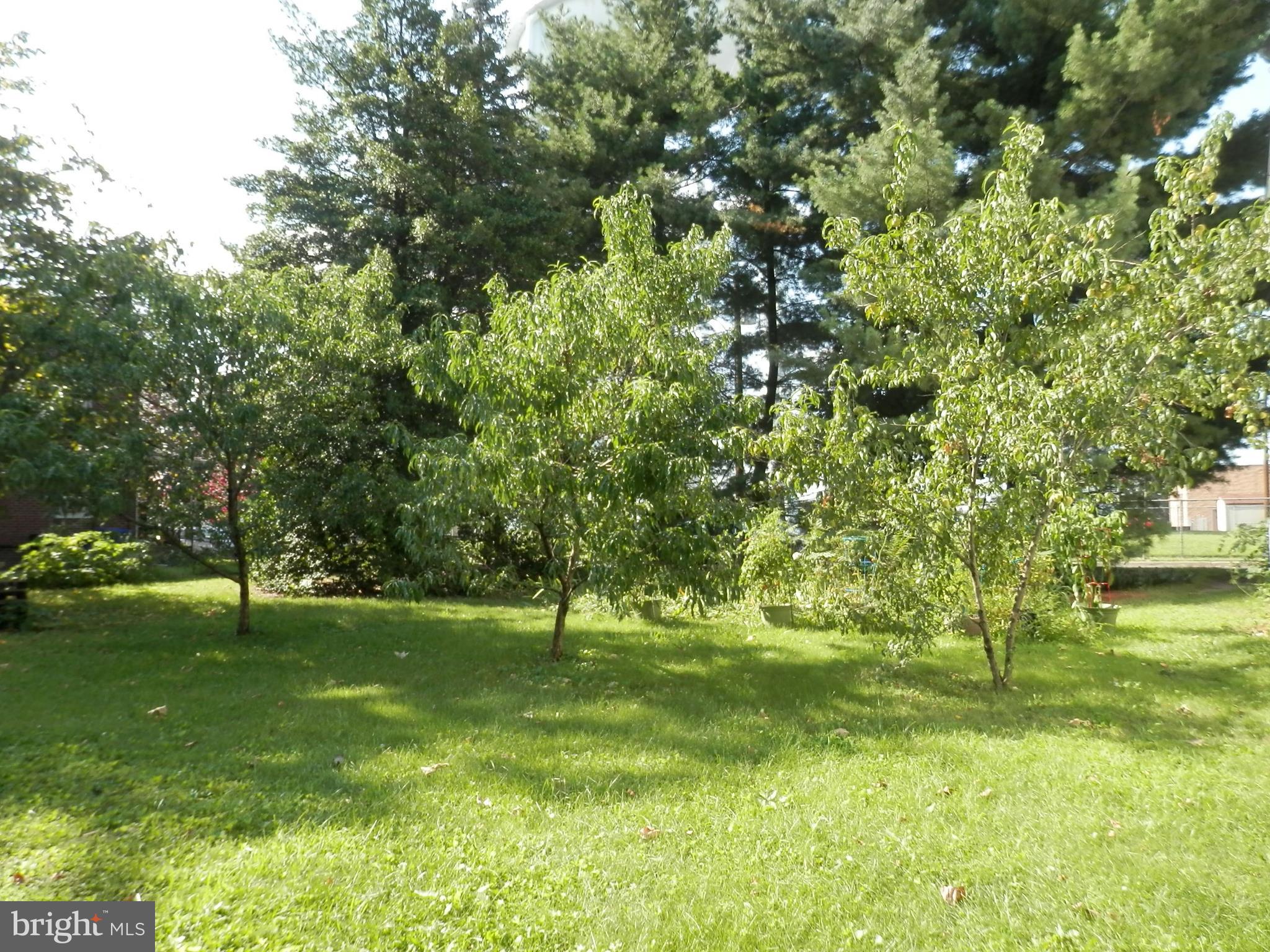 20 West Hancock Street Riverside, NJ 08075 - Photo 5 of 7