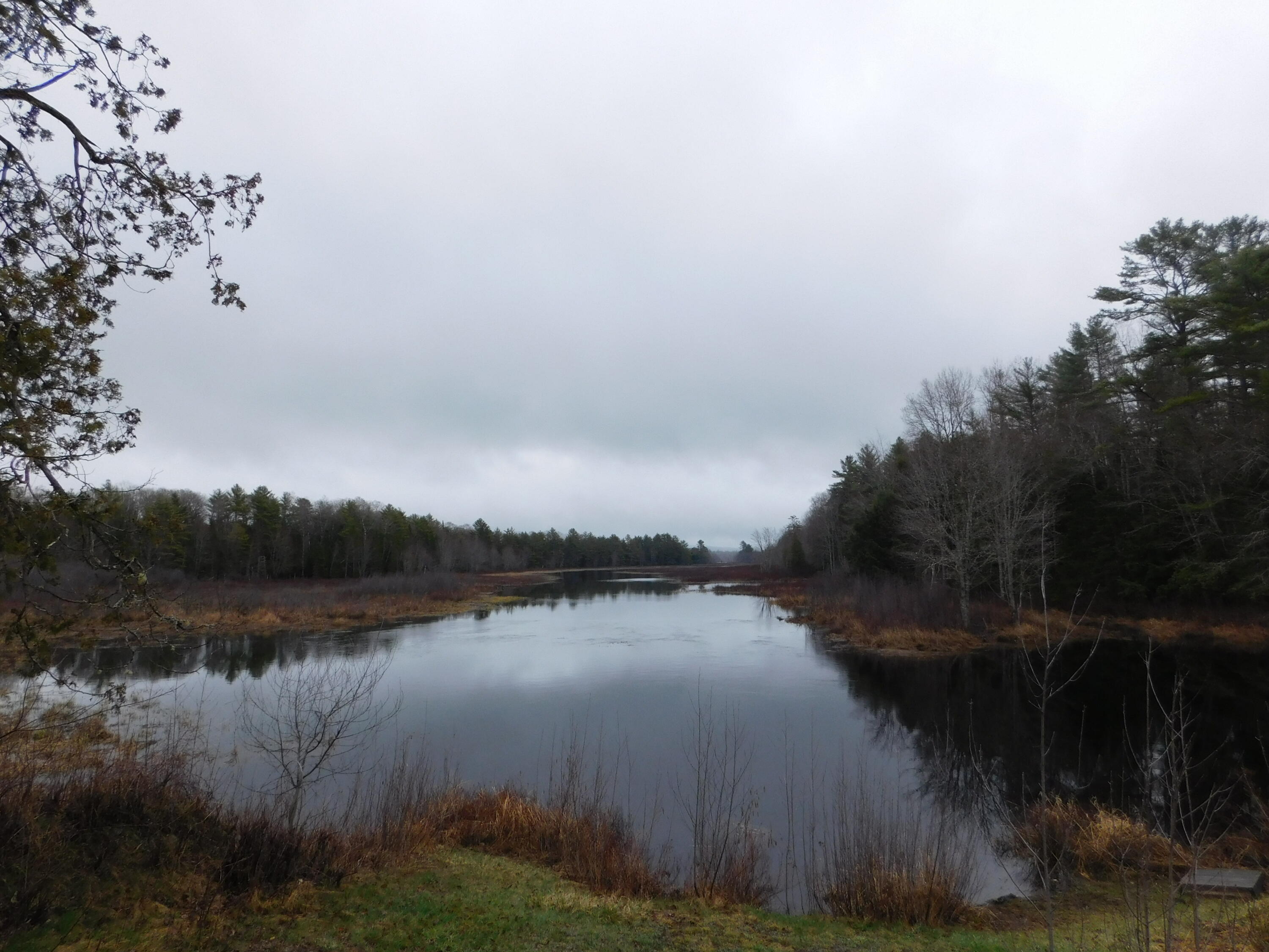 Lot # Spring Bridge Road Greenbush, ME 04418 - Photo 3 of 6 DSCN0479
