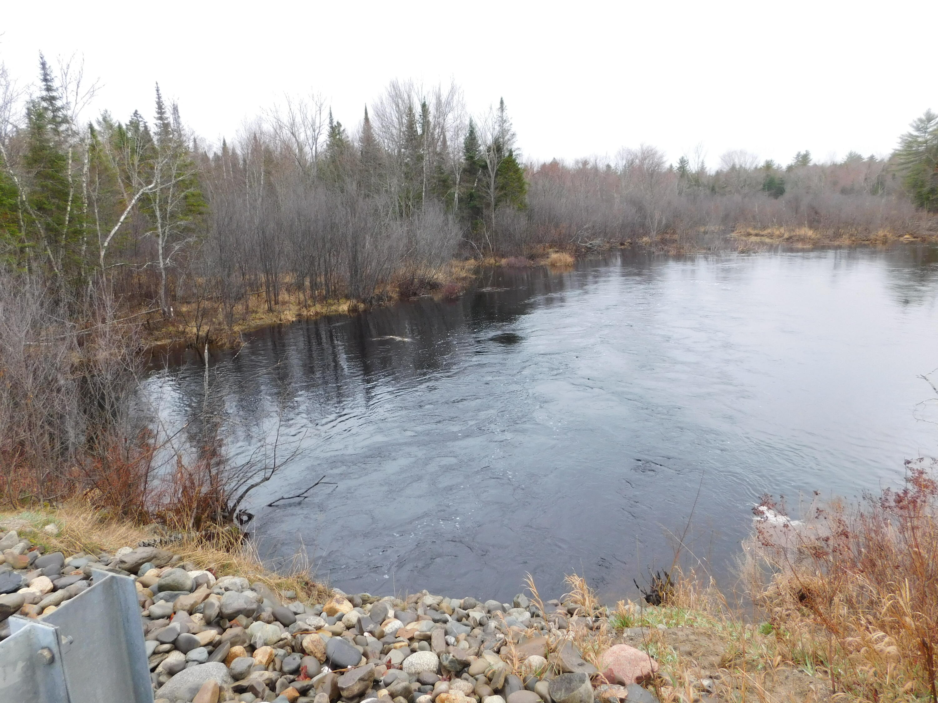 Lot # Spring Bridge Road Greenbush, ME 04418 - Photo 5 of 6 DSCN0481