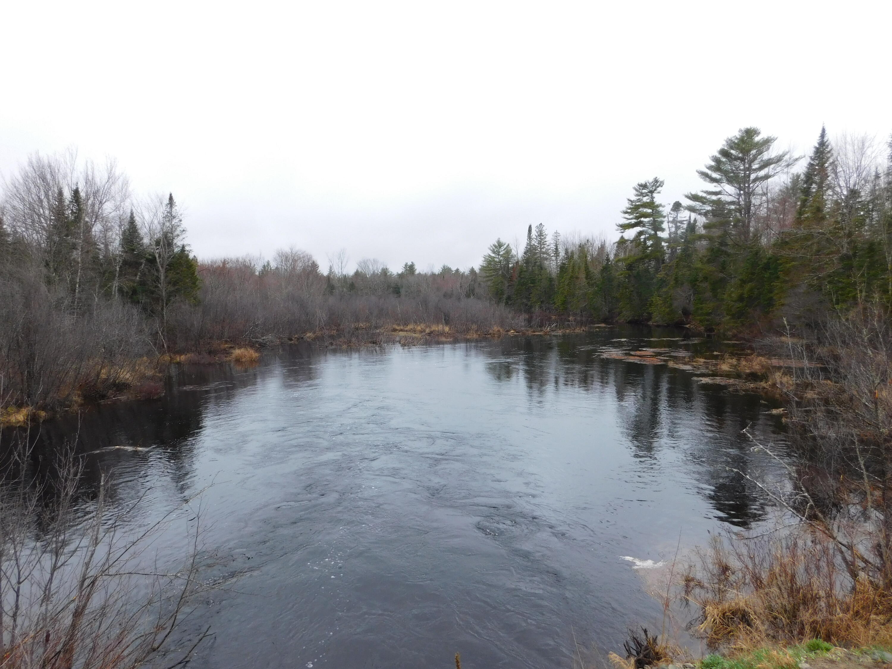Lot # Spring Bridge Road Greenbush, ME 04418 - Photo 6 of 6 DSCN0482