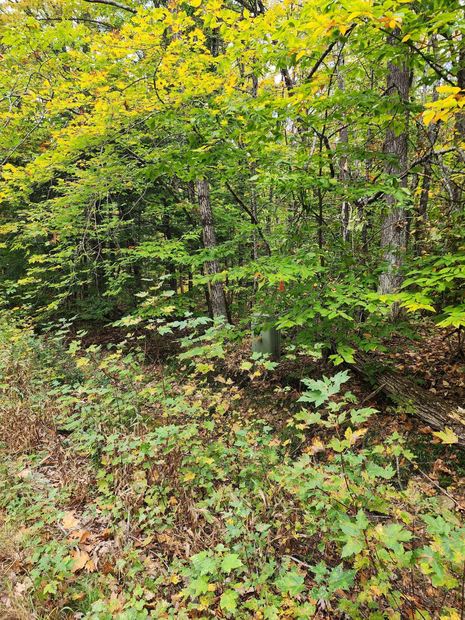 6 Fish Street Fryeburg, ME 04037 - Photo 5 of 6 20241010_093710