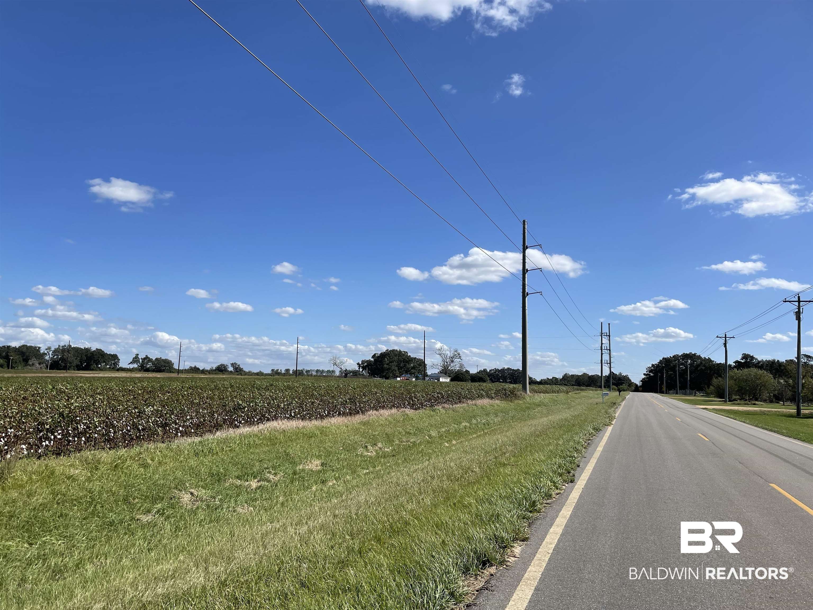 15259 Bay Road East Foley, AL 36535 - Photo 4 of 6