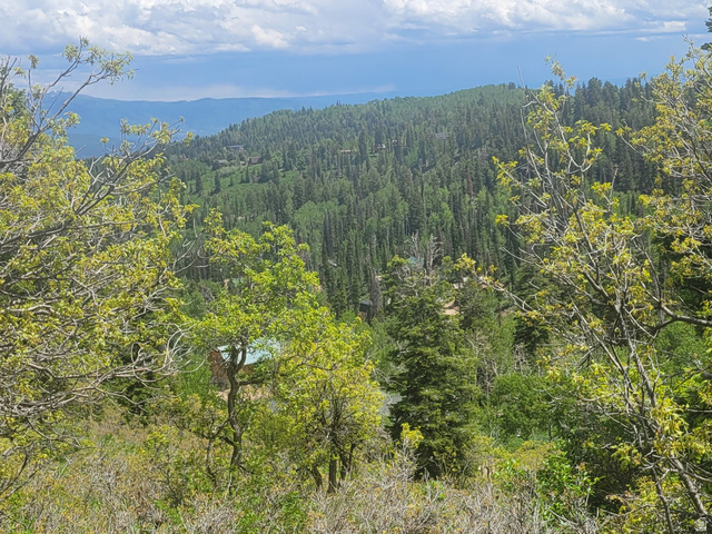 1920 Elk Road, Unit 78 Coalville, UT 84017 - Photo 8 of 16 Expansive mountain forest scenery under a bright blue sky with scattered clouds