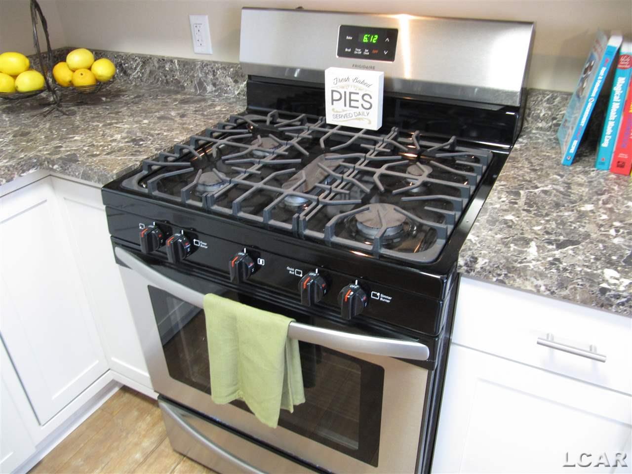 1450 Moore Road Adrian, MI 49221 - Photo 8 of 39 New Range/Oven