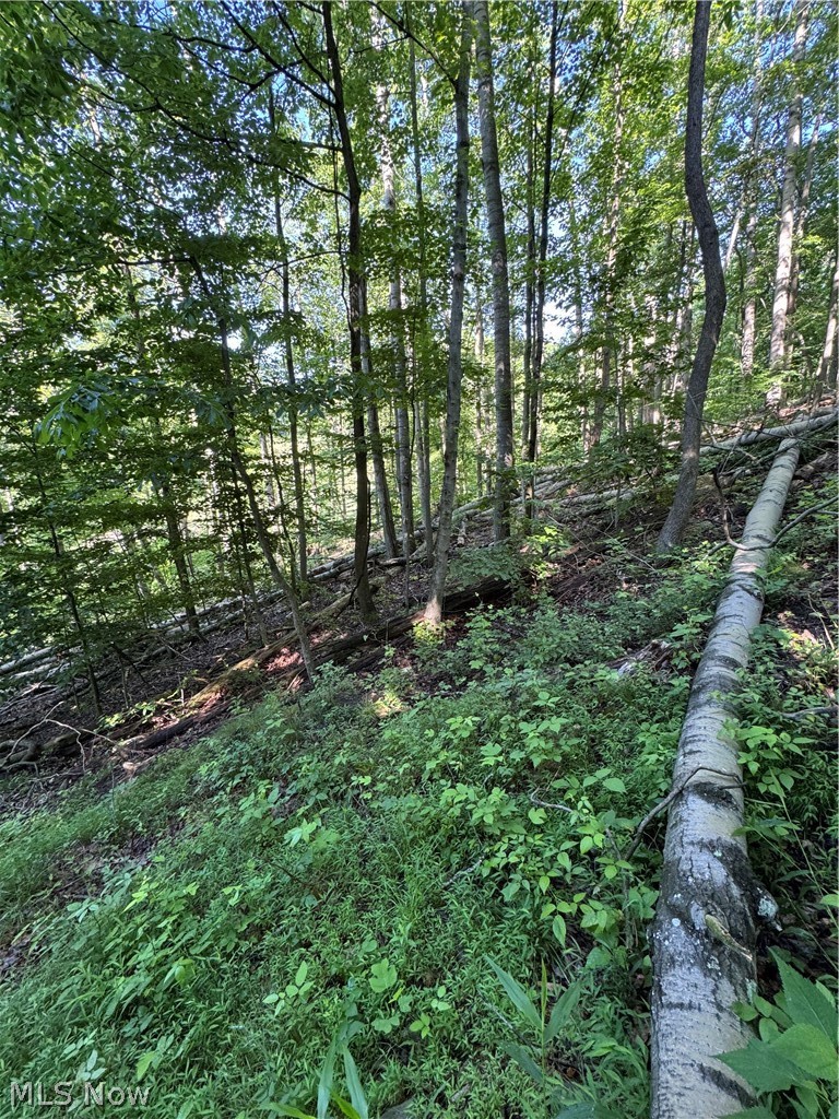 Stone Quarry Road Danville, OH 43014 - Photo 26 of 50