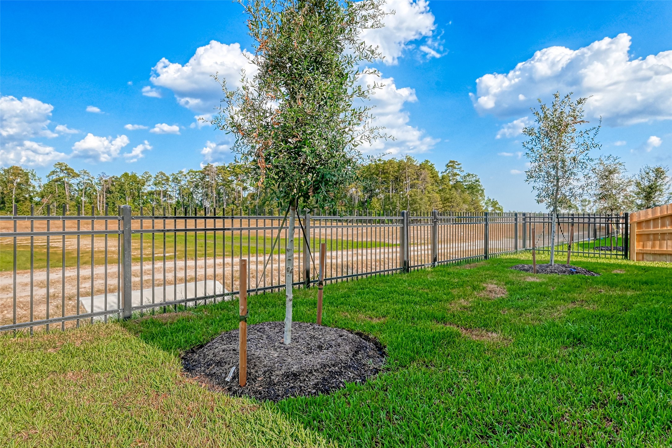 3106 Rising Fir Lane Conroe, TX 77385 - Photo 29 of 32 a view of a backyard with a garden