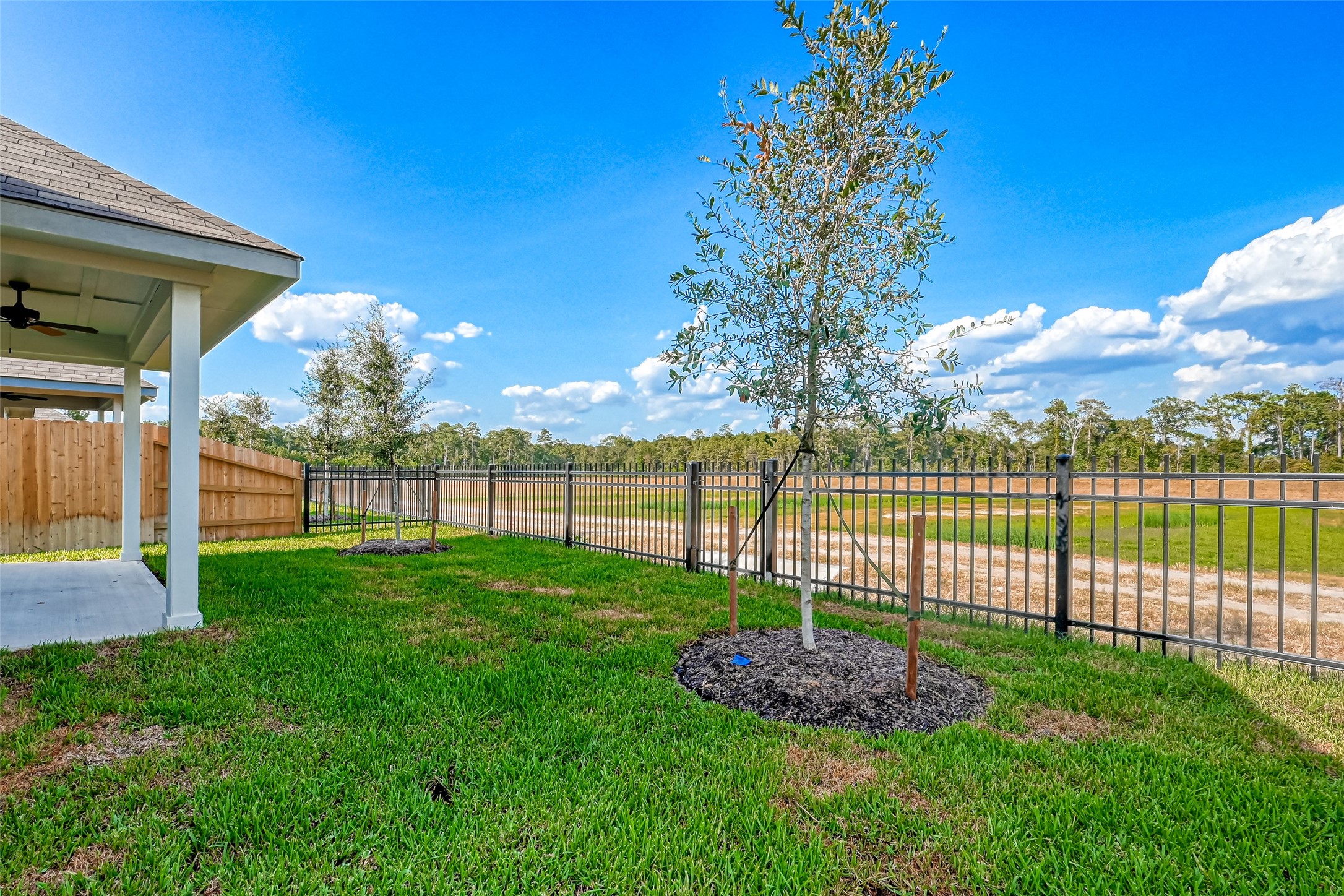 3106 Rising Fir Lane Conroe, TX 77385 - Photo 32 of 32