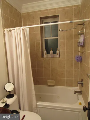 a bathroom with a shower and a toilet