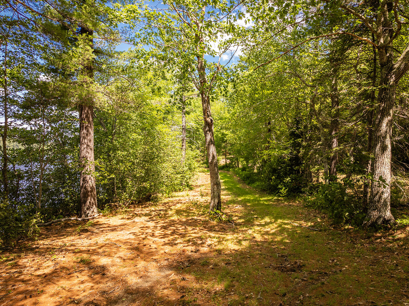 Lot 3 Aldus Shores Road Searsmont, ME 04973 - Photo 4 of 12
