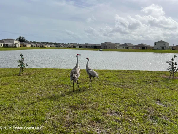 $435,000 | 976 Trinity Street, Rockledge, FL 32955