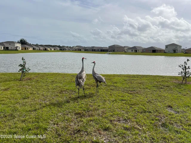 a view of a house with pool and chairs