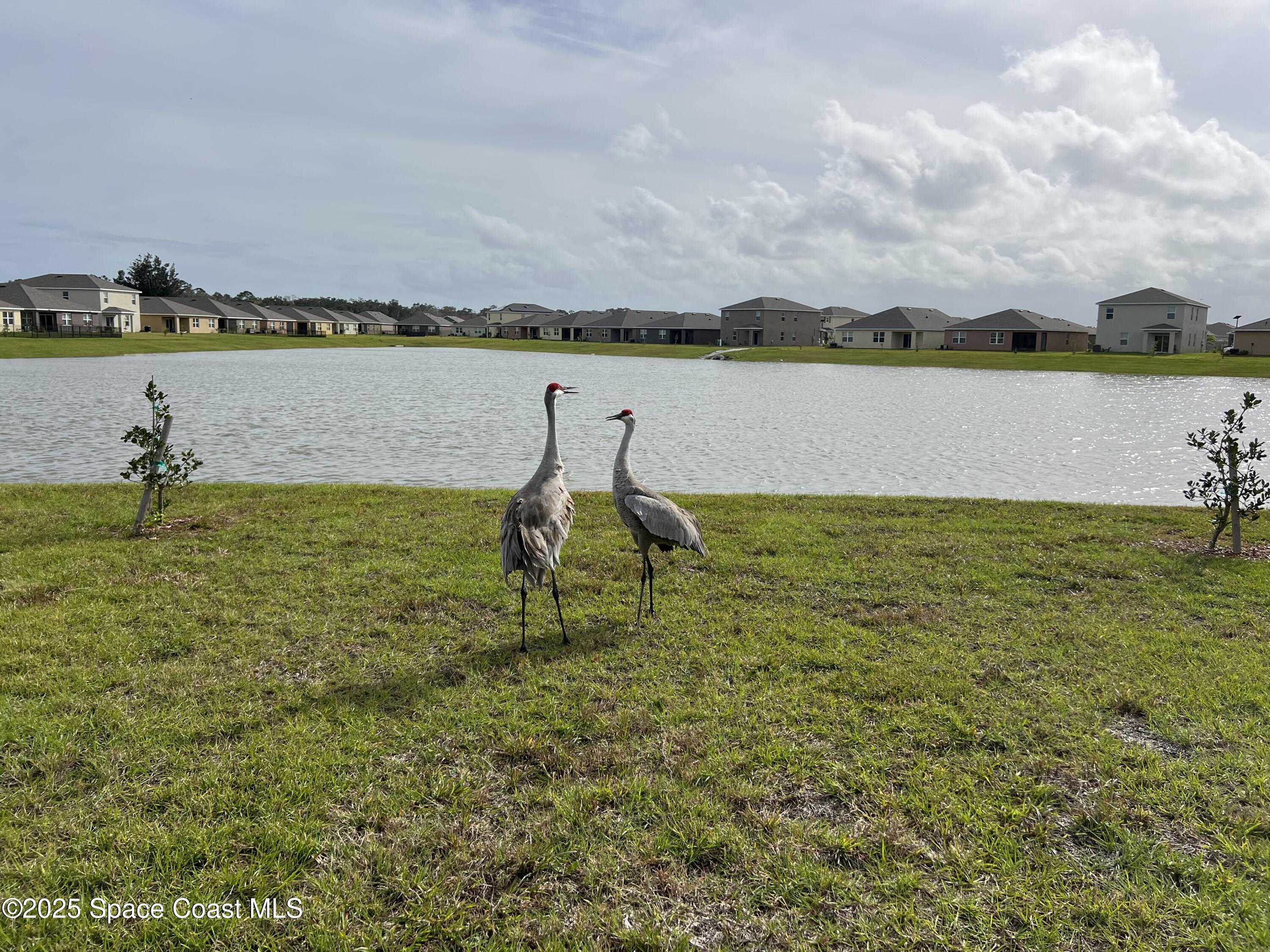 976 Trinity Street Rockledge, FL 32955 - Photo 50 of 53 IMG_4598
