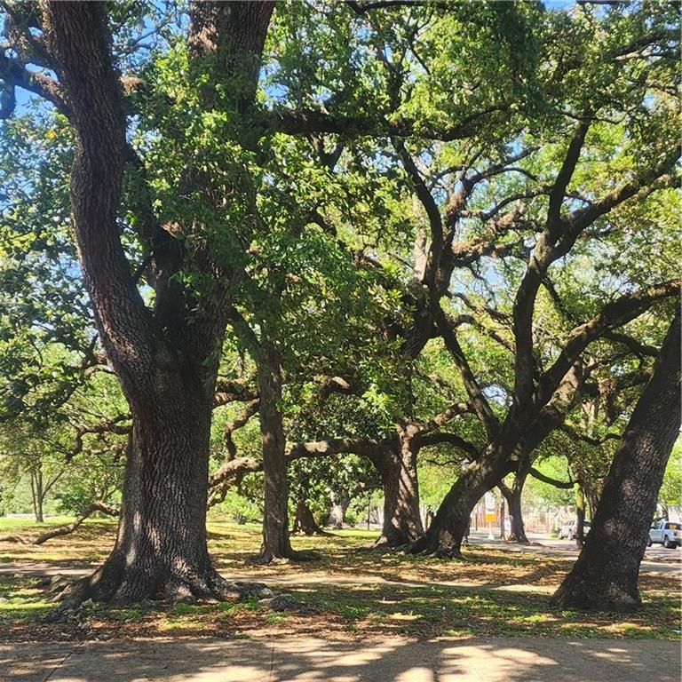 1211 Coliseum Street New Orleans, LA 70130 - Photo 24 of 24