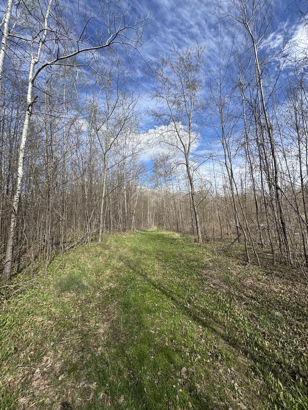 Vl Curtisville Road Mio, MI 48647 - Photo 105 of 141 IMG_2349