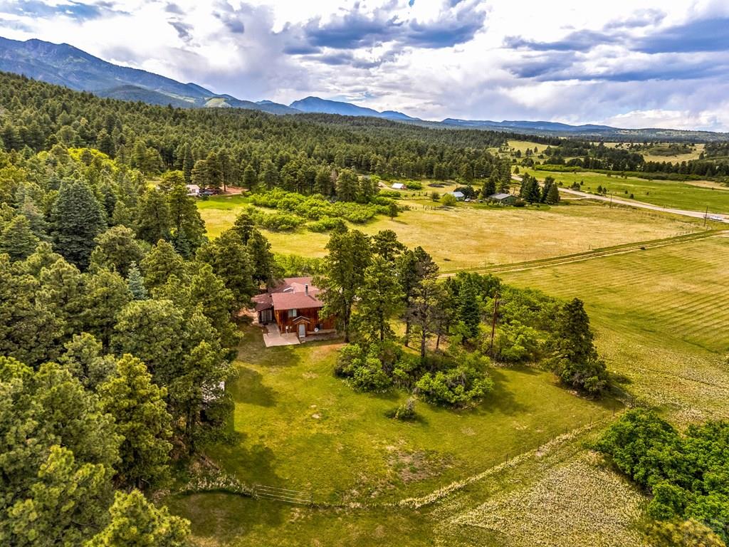 8486 Highway 165 Rye, CO 81069 - Photo 3 of 60