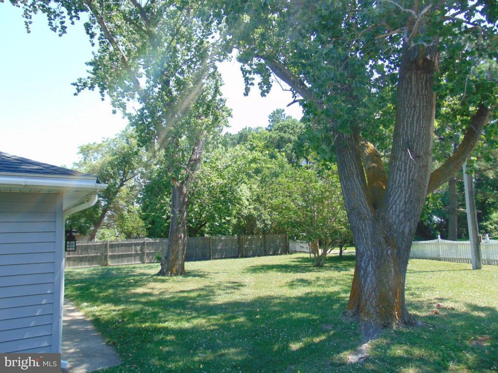 23167 Rolfe Lane Deal Island, MD 21821 - Photo 72 of 75 Gallery Image 72