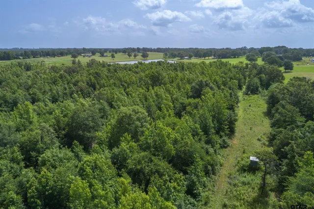 $875,000 | 10822 Cr 246 S Tyler Tx 75705, Tyler, TX 75705