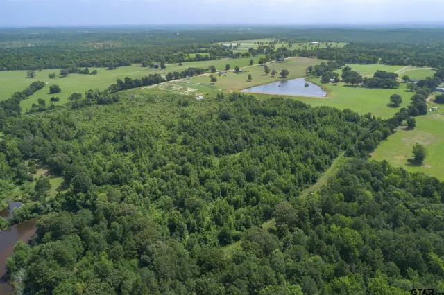 $875,000 | 10822 Cr 246 S Tyler Tx 75705, Tyler, TX 75705