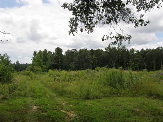 0 Henderson Road Hohenwald, TN 38462 - Photo 1 of 3 Gallery Image 1