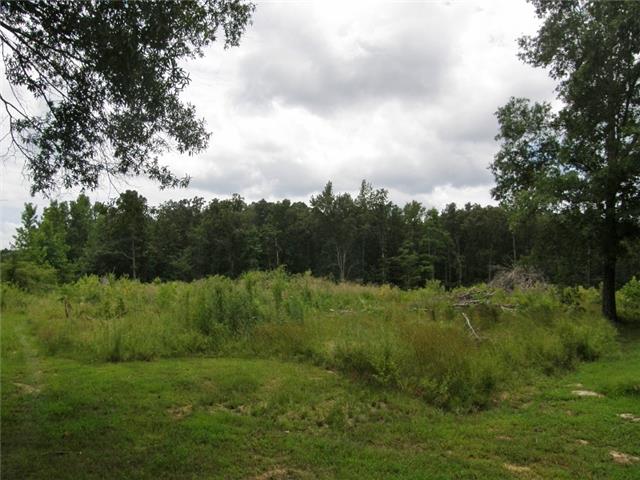 0 Henderson Road Hohenwald, TN 38462 - Photo 2 of 3 Gallery Image 2