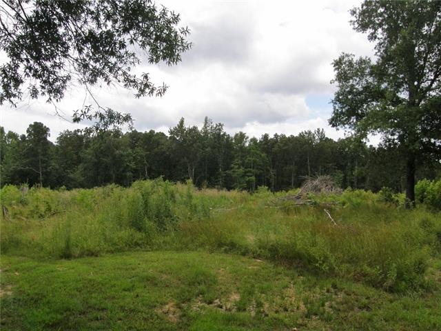 0 Henderson Road Hohenwald, TN 38462 - Photo 3 of 3 Gallery Image 3