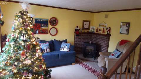 8455 Potter Road Flushing, MI 48433 - Photo 6 of 24 20456623-5.JPG
