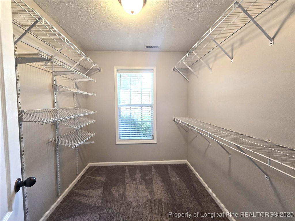 175 Briar Haven Court Raeford, NC 28376 - Photo 24 of 44 a view of an empty walk in closet