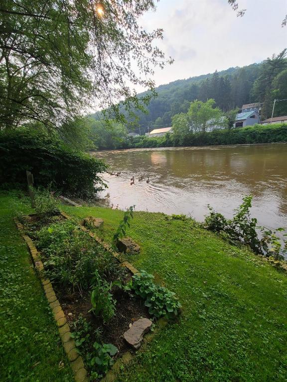 49 Bridge Street Sidney, NY 13838 - Photo 11 of 52