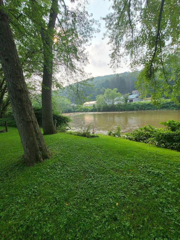 49 Bridge Street Sidney, NY 13838 - Photo 13 of 52