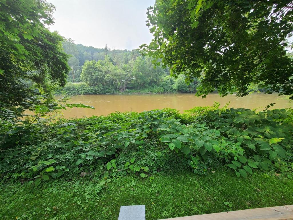 49 Bridge Street Sidney, NY 13838 - Photo 17 of 52