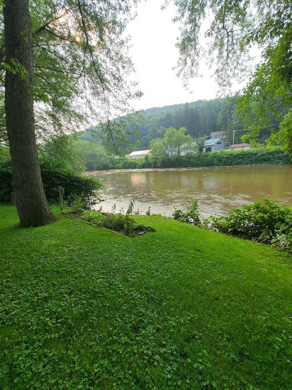 49 Bridge Street Sidney, NY 13838 - Photo 3 of 52