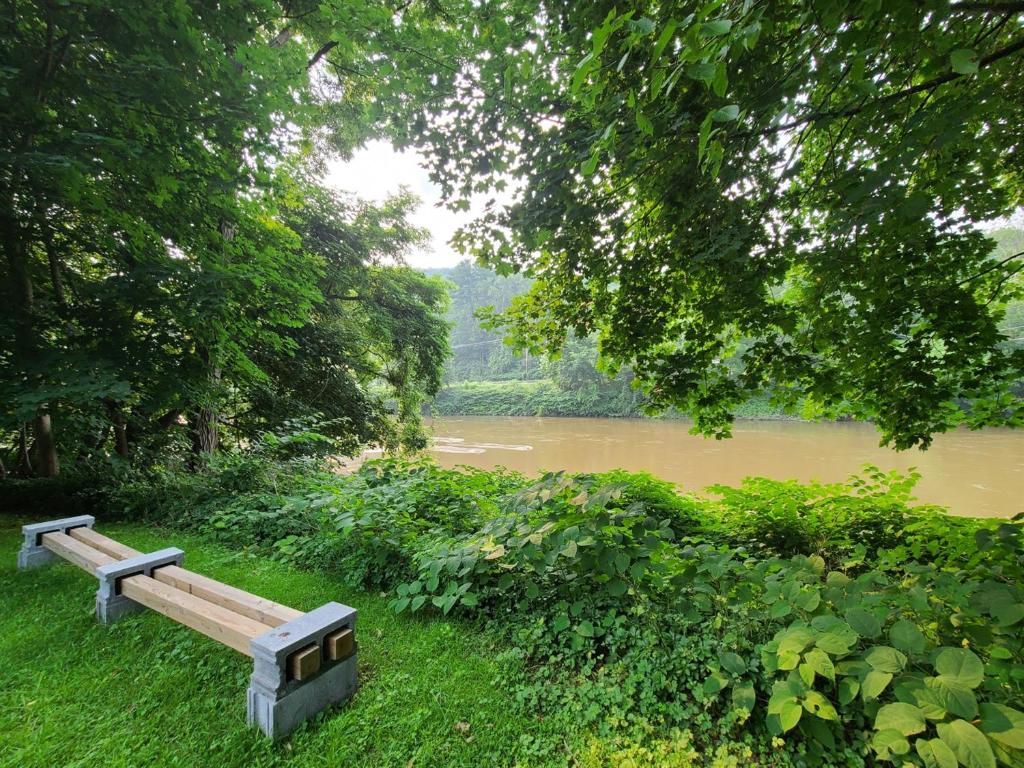 49 Bridge Street Sidney, NY 13838 - Photo 4 of 52