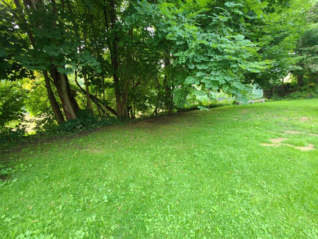 49 Bridge Street Sidney, NY 13838 - Photo 5 of 52