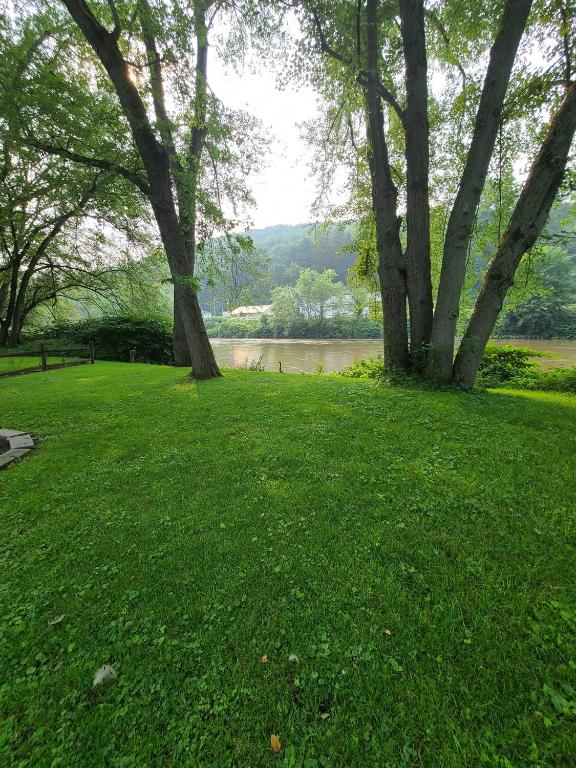 49 Bridge Street Sidney, NY 13838 - Photo 51 of 52 Yard with river view.