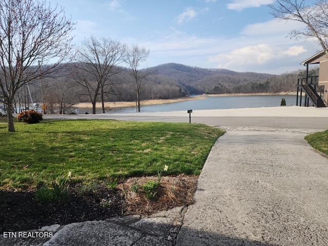 431 Powell Valley Marine Road La Follette, TN 37766 - Photo 3 of 38 431 Powell Valley Marine Rd