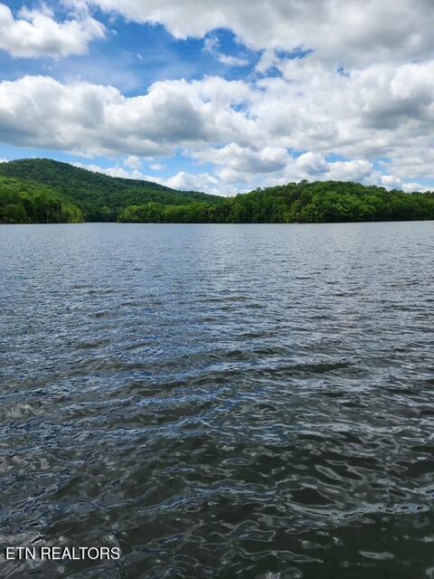 431 Powell Valley Marine Road La Follette, TN 37766 - Photo 4 of 38 431 Powell Valley Marine Rd