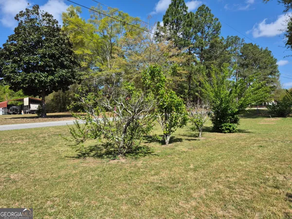 a view of a tree in front of a house