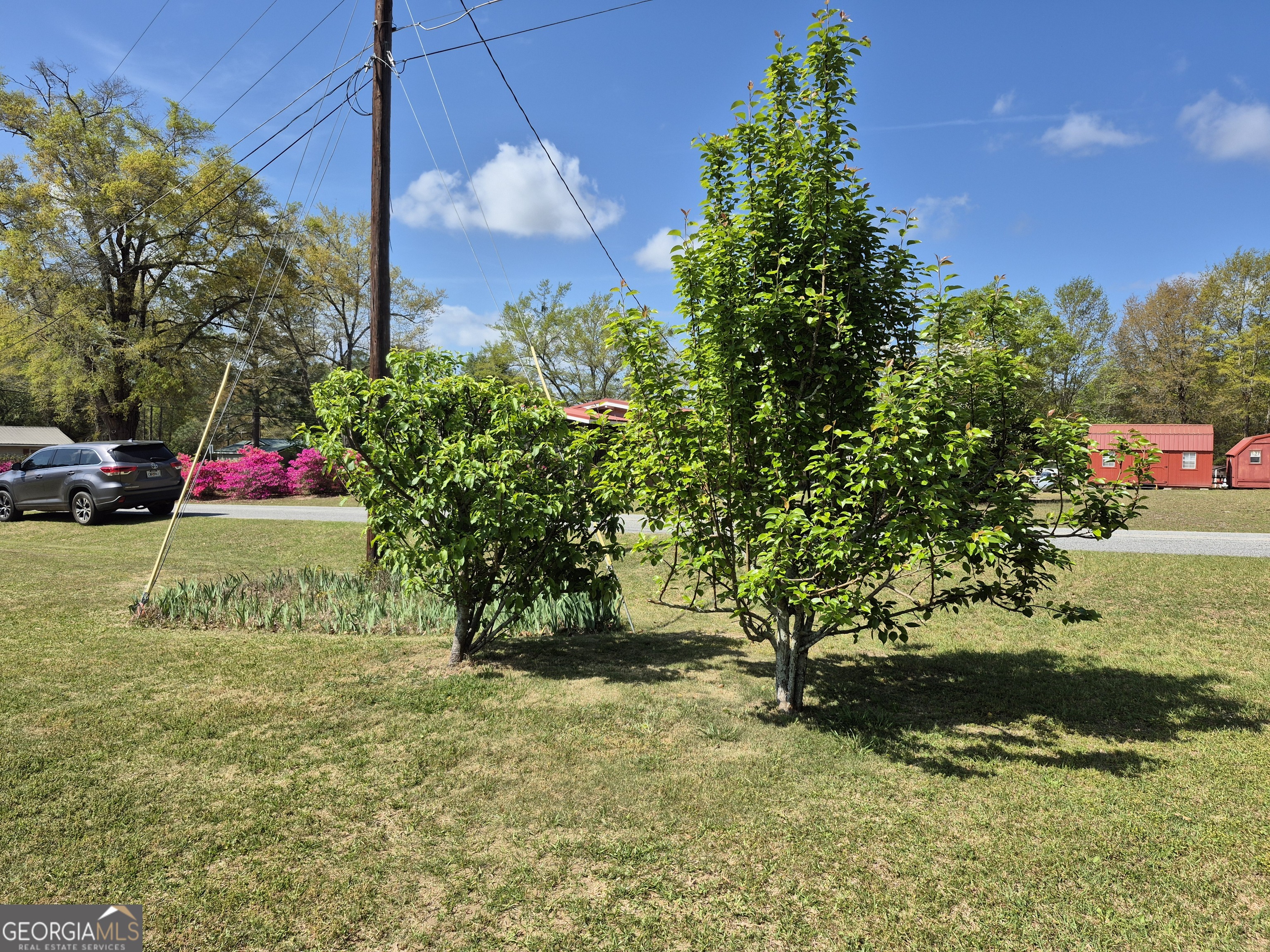13 Marshall Street Butler, GA 31006 - Photo 4 of 27 a view of a tree in front of a house