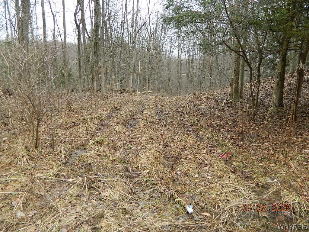 9999 Olean Road Holland, NY 14080 - Photo 16 of 28