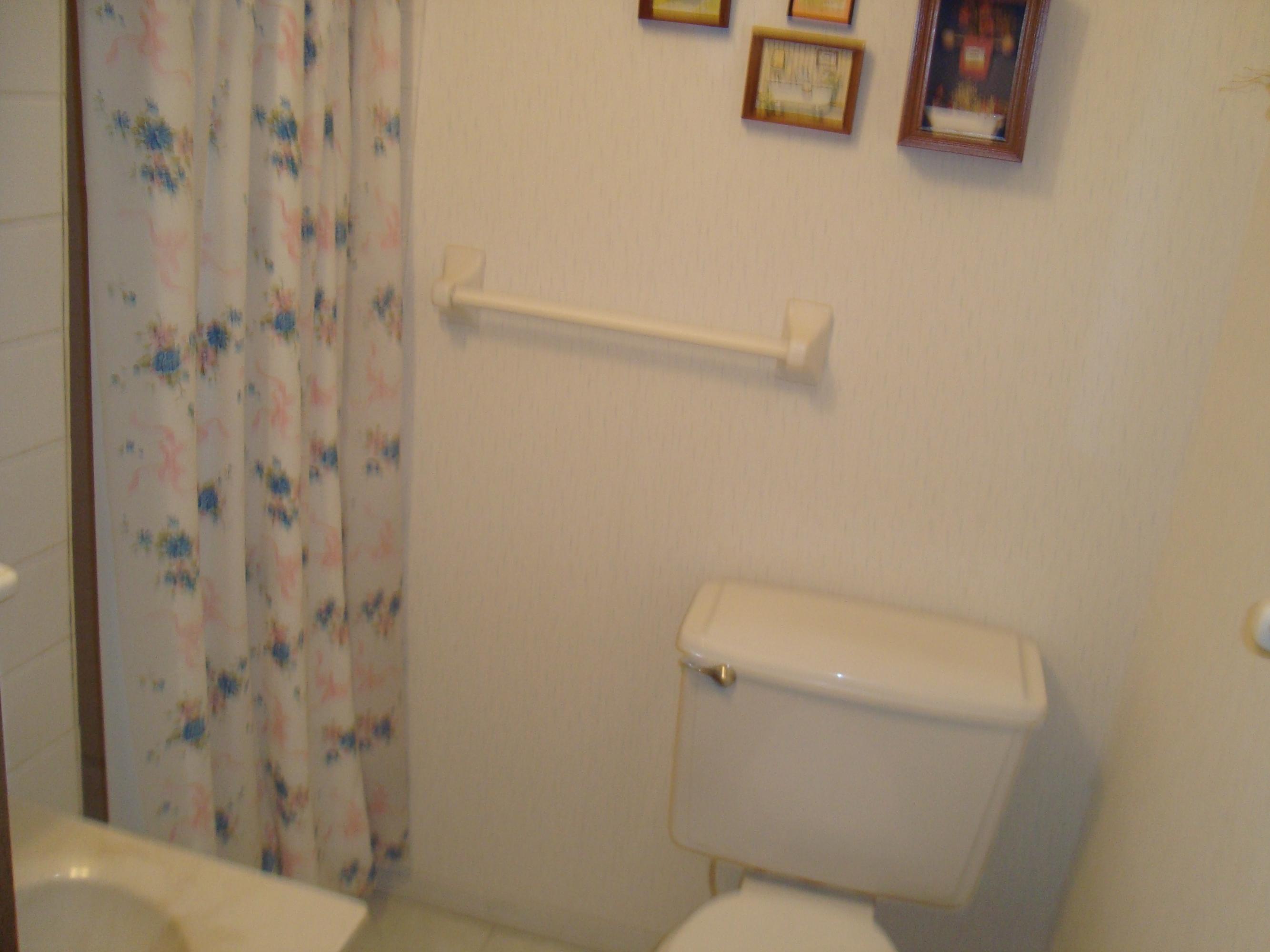 3288 Read Mountain Road Roanoke, VA 24019 - Photo 10 of 14 Master Bath