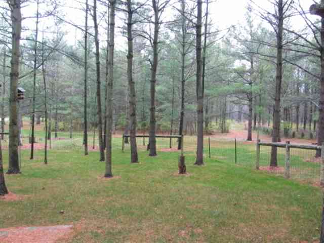 6655 Comstock Road Jeddo, MI 48032 - Photo 9 of 9 31086123-8.JPG