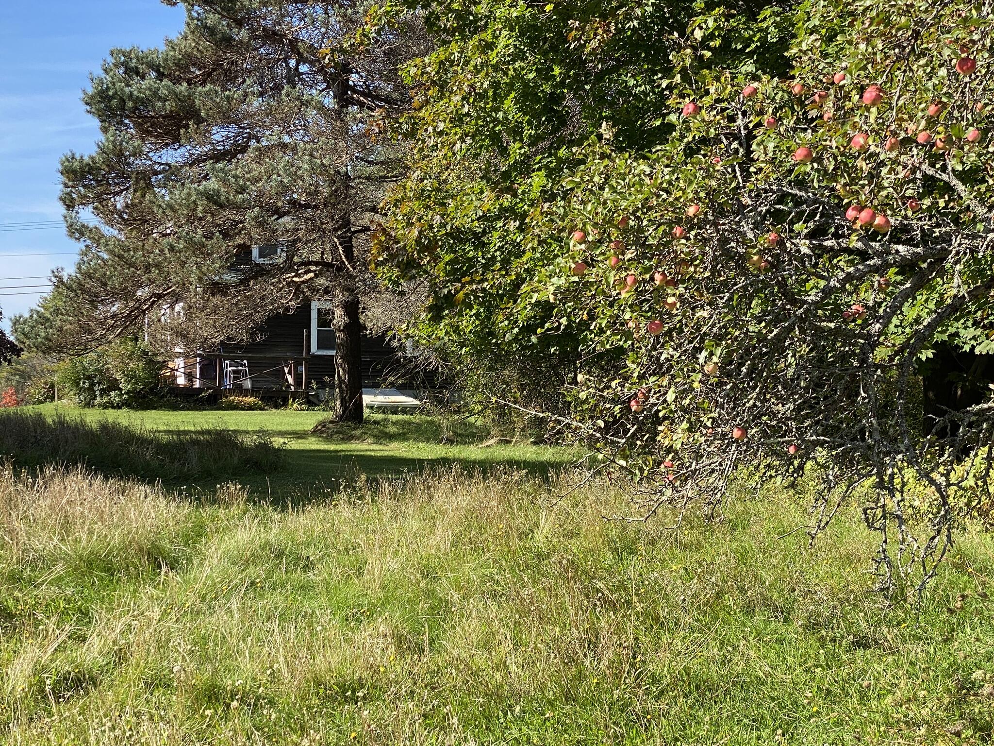 521 River Road St. George, ME 04860 - Photo 15 of 83 CC168200-ED69-4575-BCFE-B3BEF224E9E3