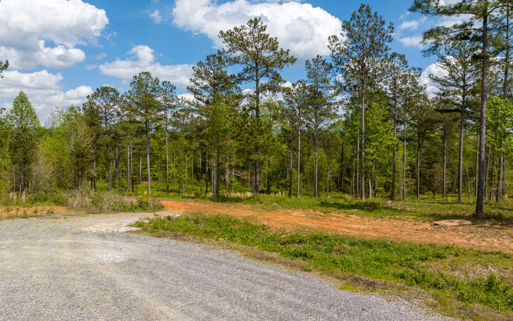 Wildlife Ridge Jasper, GA 30143 - Photo 11 of 12 Additional View