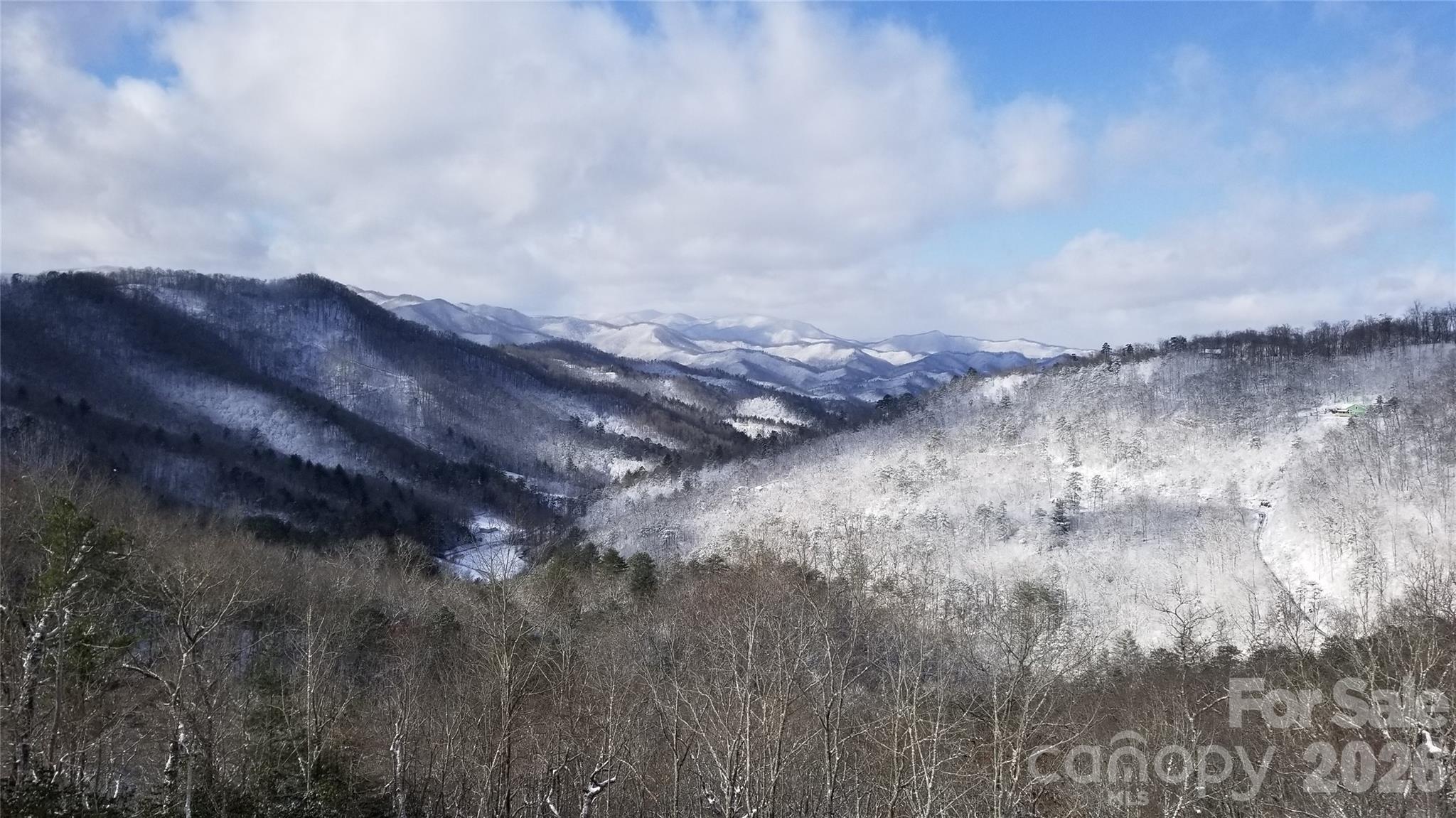 833 Fox Run Road Bryson City, NC 28713 - Photo 12 of 44