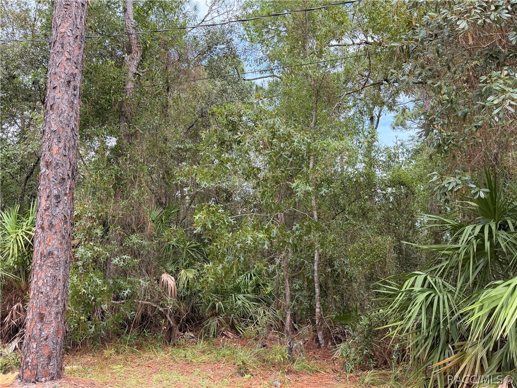 5710 South Leopard Point Homosassa, FL 34446 - Photo 4 of 10 Gallery Image 4