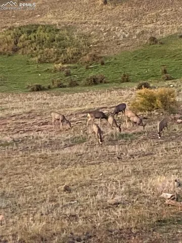 $675,500 | 1652 Penrose Circle, Cripple Creek, CO 80813