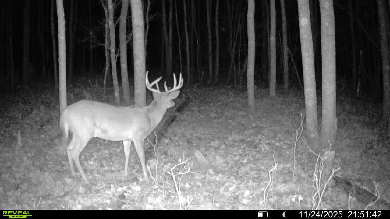 7 West Mile Road Irons, MI 49644 - Photo 12 of 49 IMG_20260606_224724 (1)