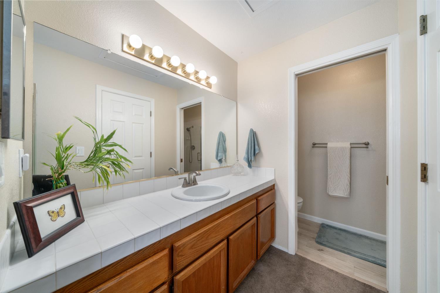 4112 Alex Lane Carmichael, CA 95608 - Photo 23 of 36 a bathroom with a sink a vanity and a mirror