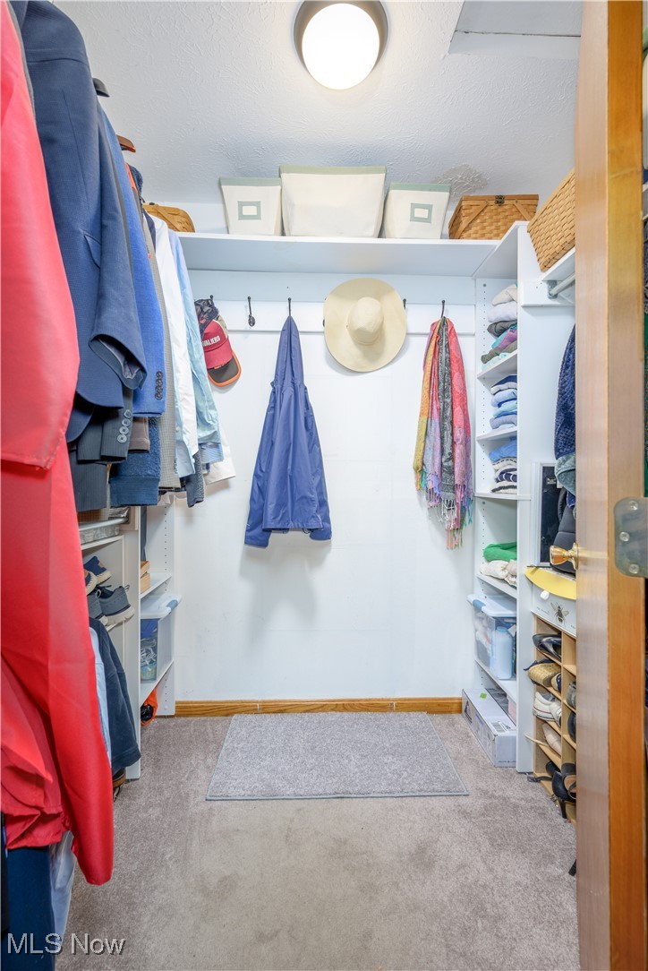 2747 Alexander Road Atwater, OH 44201 - Photo 17 of 41 Walk In Closet