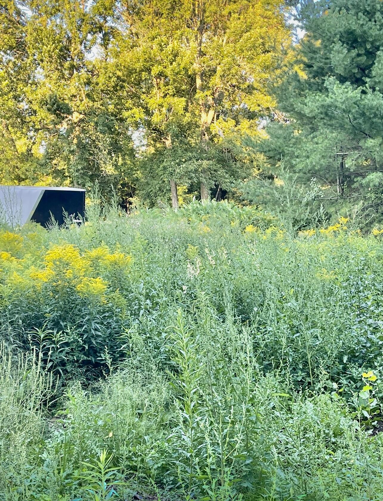 1473 Cumberland Head Road Plattsburgh, NY 12901 - Photo 86 of 90 Land before development